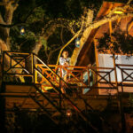 Enjoy tree house glamping amidst the wilderness of Yala, perfect for families seeking adventure.