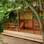 Luxurious jungle nest glamping experience amidst the wilderness of Yala.